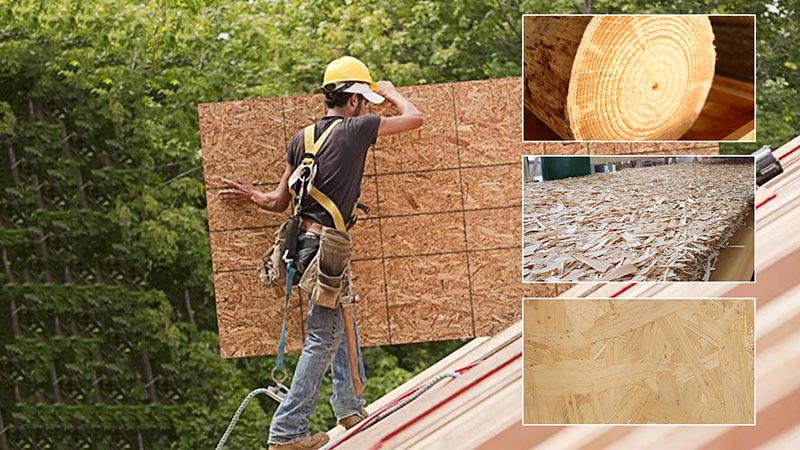 osb板,osb板廠家,osb,osb廠家,osb板材廠家,板材,片狀實木結構板